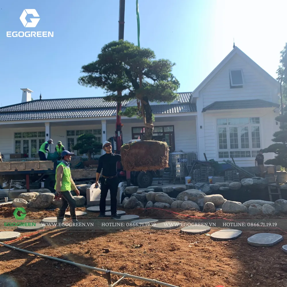 Việc đầu tư đúng trọng tâm sẽ giúp sân vườn đẹp bền theo thời gian, không cần chỉnh sửa nhiều. 